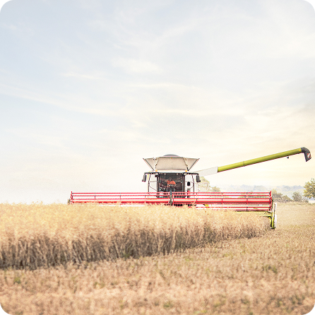 Agricultura